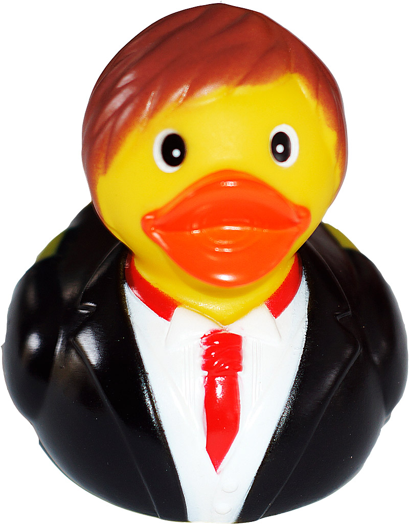 ds5 ente2 Ente