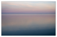 nordsee, sylt
