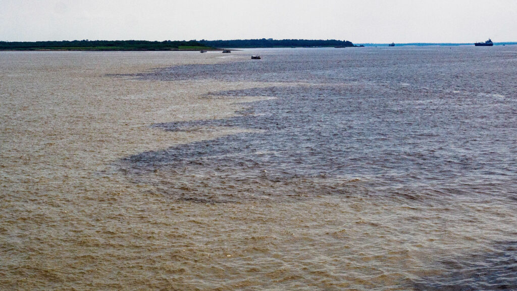 Rio Negro